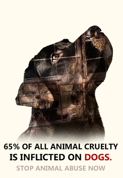 Animal Abuse Teaching Resources | TPT