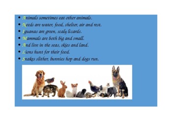 Animals Poems Teaching Resources | TPT