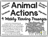 Animal Actions - Weekly Reading Passages - Bundle of 4