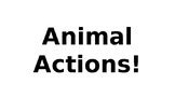 Animal Actions  ppt
