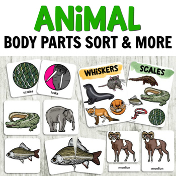 Animal Parts Activities Teaching Resources | TPT
