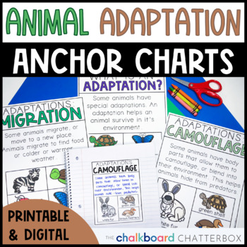 Animal Adaptation Anchor Charts | First and Second by Chalkboard Chatterbox