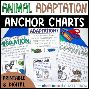 Preview of Animal Adaptation Anchor Charts | First and Second