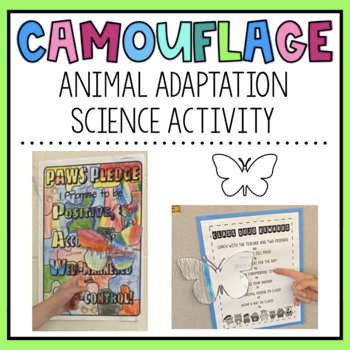 Preview of Animal Adaptation Camouflage Butterfly Activity