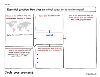 Preview of Animal Adaptation Graphic Organizer