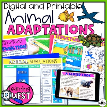 Preview of Animal Adaptations Digital Activities