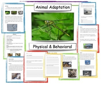 Preview of Physical and Structural Animal Adaptations NGSS Lesson