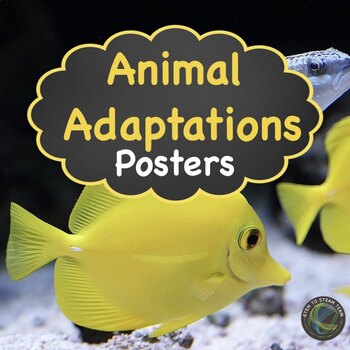 Preview of Animal Adaptation Posters