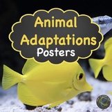 Animal Adaptation Posters