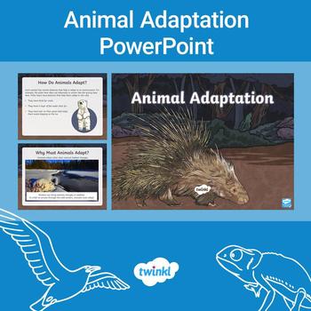 FREE Animal Adaptation PowerPoint by Twinkl Teaching Resources | TPT