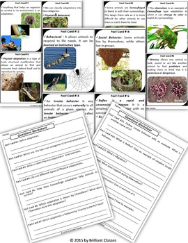 Animal Adaptation Scavenger Hunt by Brilliant Classes - Science - Math ...