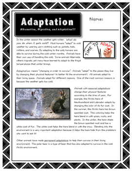 Adaptation // Science // Worksheet // Case Study // PPT // Animal