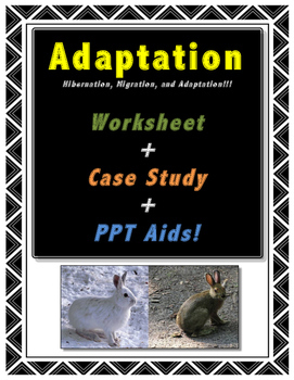Preview of Adaptation // Science // Worksheet // Case Study // PPT // Animal Adaptation