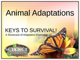 Animal Adaptation Showcase - Complete