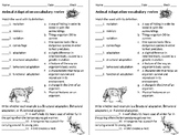 Animal Adaptation Vocabulary Review
