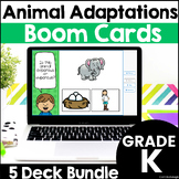 Animal Adaptation & Characteristics Kindergarten Animal Sc