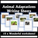 Animal Adaptations 1 (10 sheets)