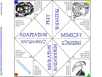 Preview of Animal Adaptations Cootie Catcher