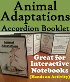 Animal Adaptations Activity (Ecosystem Unit)