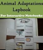 Animal Adaptations Activity: Hibernation, Camouflage, Migr