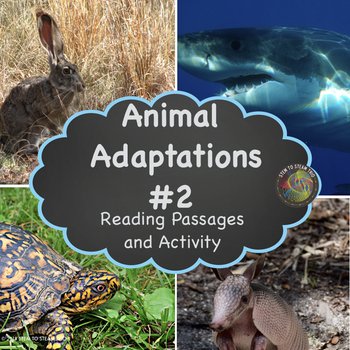 Preview of Animal  Adaptations #2  Informational Reading Comprehension Passages
