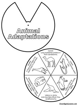 Animal Adaptations Worksheet | Printable by Green Apple Lessons | TpT