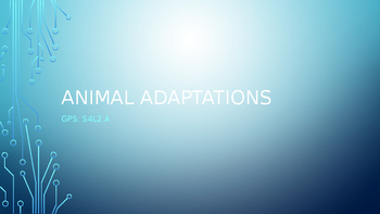 Preview of Animal Adaptations