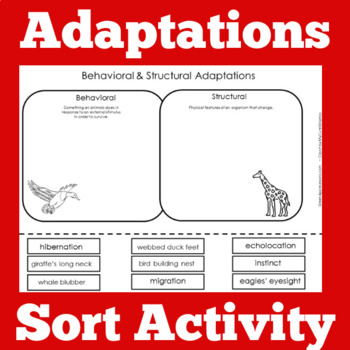 Adaptations Worksheets Teaching Resources | TPT