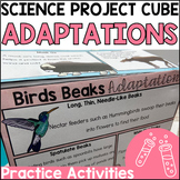 Animal Adaptations 3D Project Cube - Science Activity - Sc