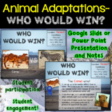 Animal Adaptations