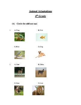 Animal Adaptations 4th Grade Teaching Resources | TPT