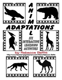 Animal Adaptations Interactive Activities