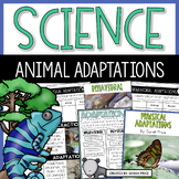 Animal Adaptations Activities | Hibernation Migration Camo