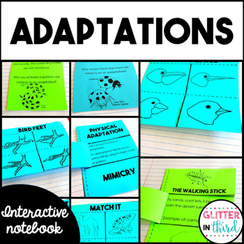 Preview of Animal Adaptations Activities Science Interactive Notebook BUNDLE