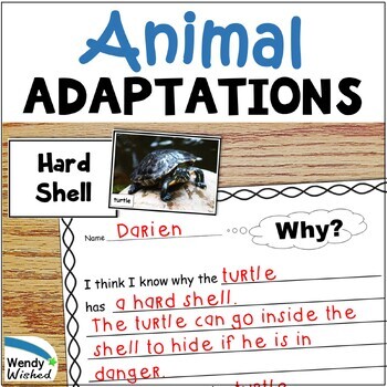 adaptation definition for kids