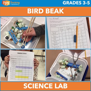 Preview of Bird Beak Lab – Adaptations & Natural Selection Project – Fun Science Experiment