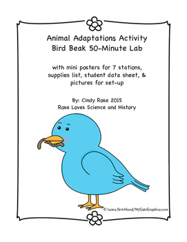 animal adaptations activity bird beak lab by rose loves science and
