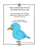 Animal Adaptations Activity- Bird Beak Lab