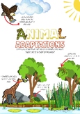 Animal Adaptations Anchor Chart