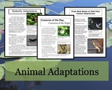 Animal Adaptations Article and Activities