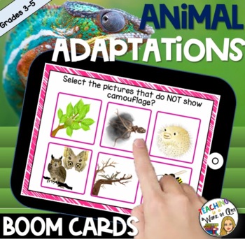 Preview of Animal Adaptations BOOM CARDS- DISTANCE LEARNING