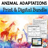Animal Adaptations Bundle Reading Passages Worksheets Proj