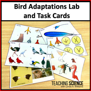 Preview of Animal Adaptations and Bird Beak Lab & Bird Adaptations Task Cards & Worksheets