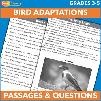 Preview of Animal Structure and Function Project - Bird Reading Passages 3rd 4th 5th Grade