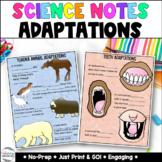 Animal Adaptations - Birds Beaks - Science Notes - Test Pr