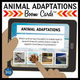 Animal Adaptations Boom Cards