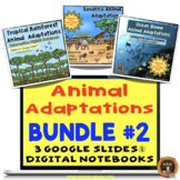Animal Adaptations Bundle 2 Digital Notebooks on Google Slides