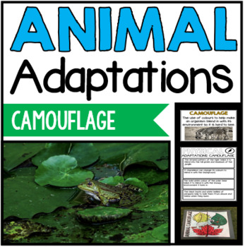 Animal Adaptations: Top Five Ways to Engage - Creative Classroom Core