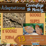 Animal Adaptations: Camouflage & Mimicry, Google Slides, G