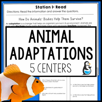 Preview of Animal Adaptations Science Centers | 3rd 4th Grade Reading Passage Vocabulary